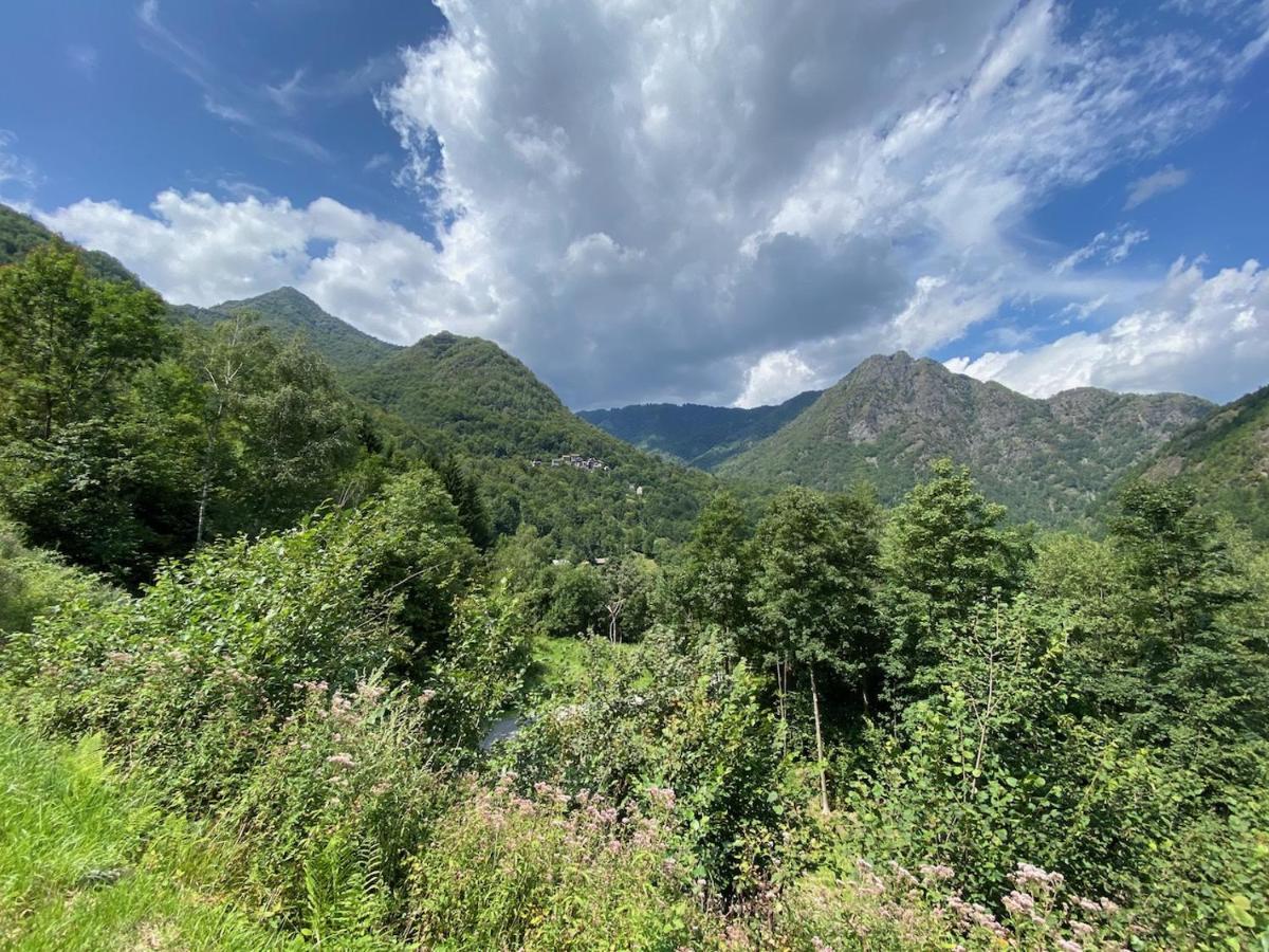 Mountain Cabin Valsesia Appartement Stella Varallo Exterior photo