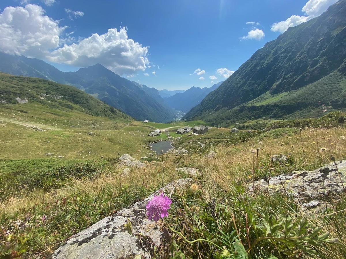 Mountain Cabin Valsesia Appartement Stella Varallo Exterior photo